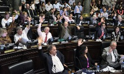 legislandiagenero.jpg